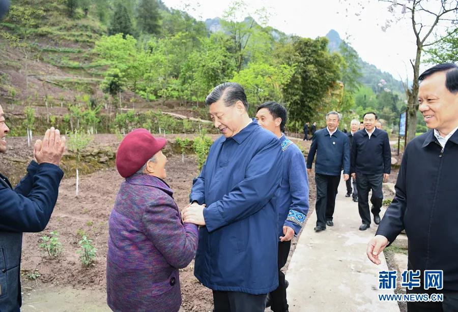 色情网