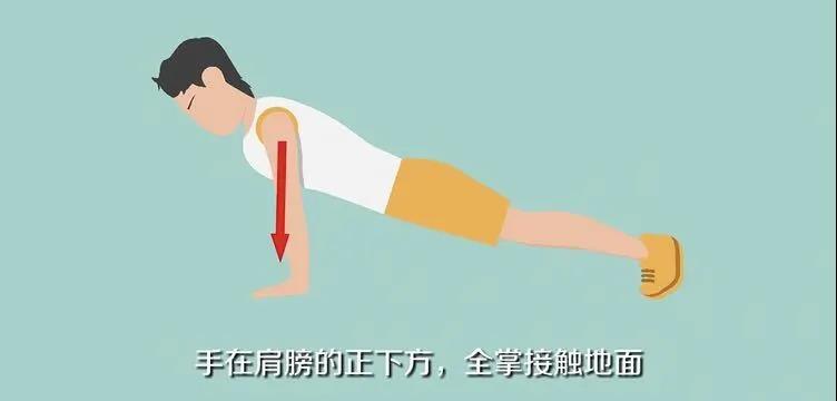 色情网